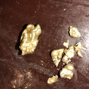 Gold Nugget Collection